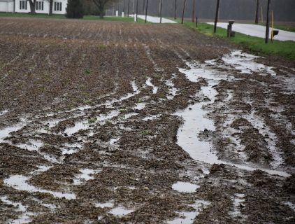 Wetter, Warmer Than Normal January Both Good, Bad for Michigan Producers