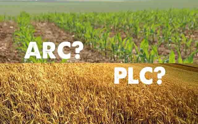 Signing Up For The Best Option: ARC vs. PLC