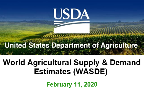 USDA Releases February World Supply and Demand Report