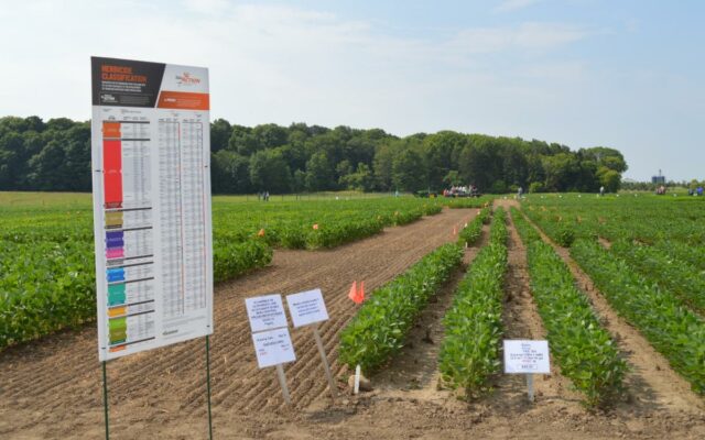 Bean and Beet Diagnostic Day 2022